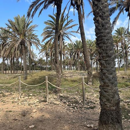 Despertar En Torrevieja Villa ภายนอก รูปภาพ