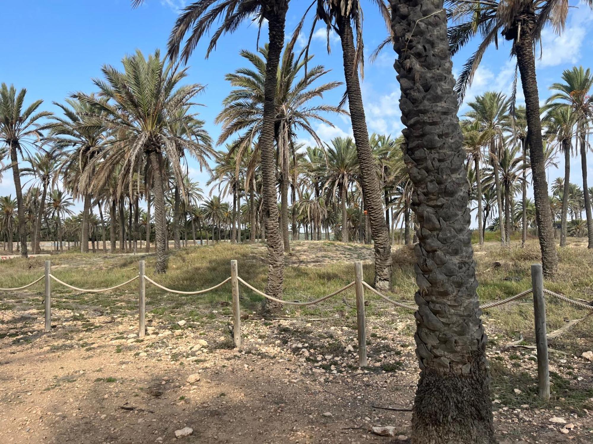 Despertar En Torrevieja Villa ภายนอก รูปภาพ